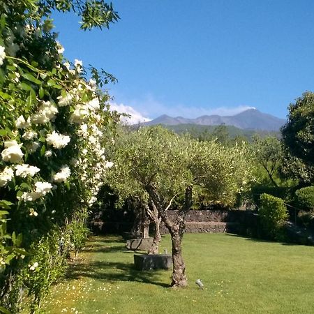 Casa Vacanze Prato Verde Zafferana Etnea Zewnętrze zdjęcie